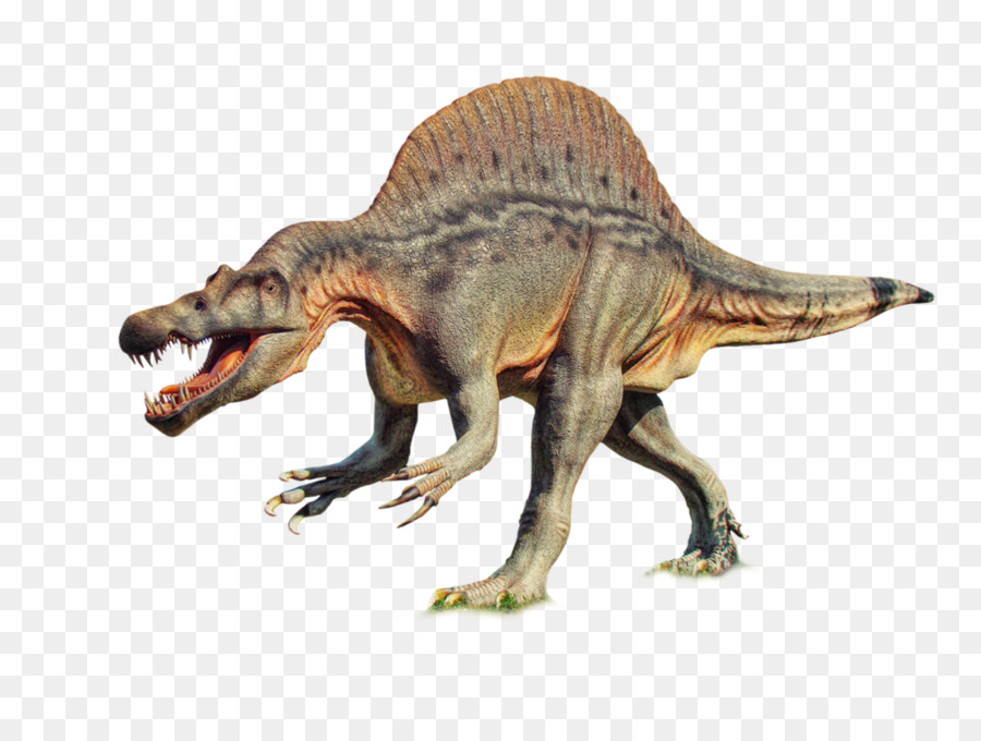 Dinosaurus，Prasejarah PNG