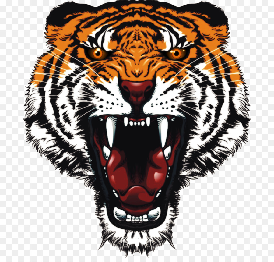 Gambar Harimau  Api  Png