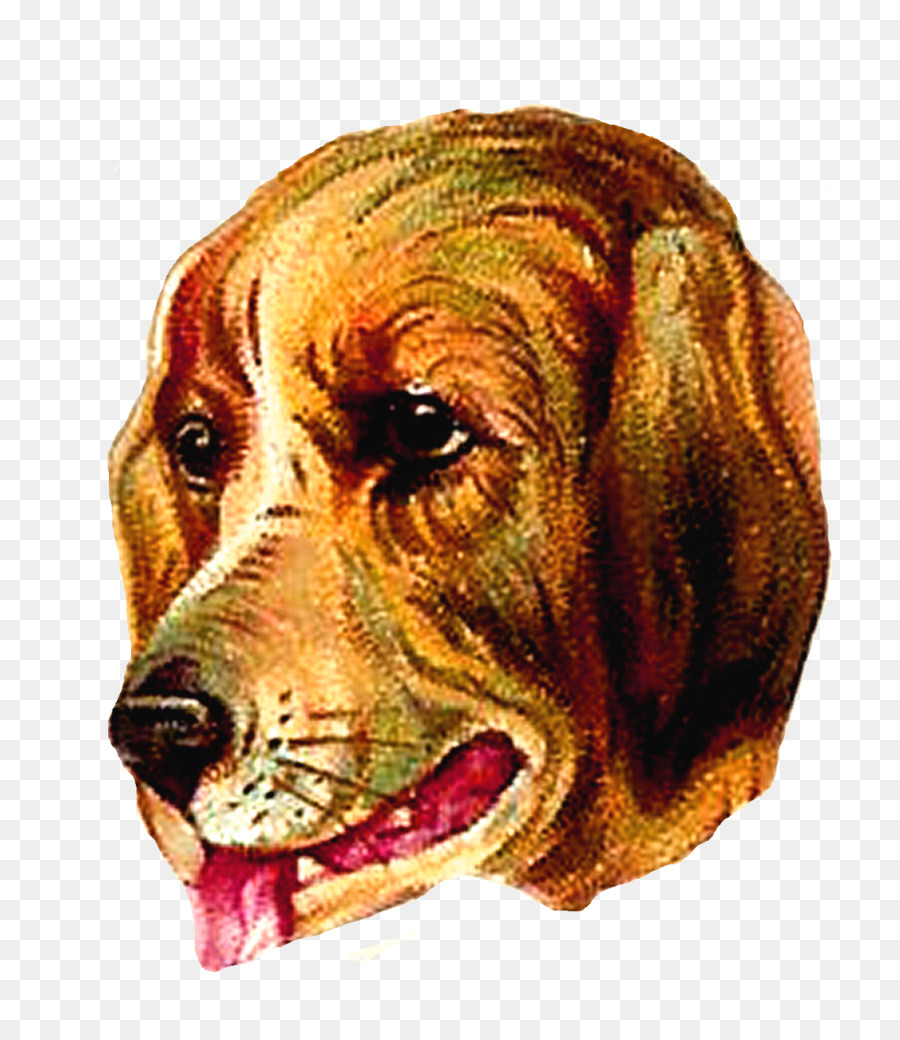 Anjing，Peliharaan PNG