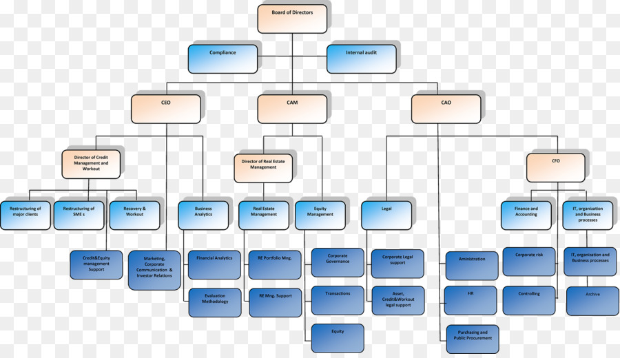 Struktur Organisasi，Organisasi PNG