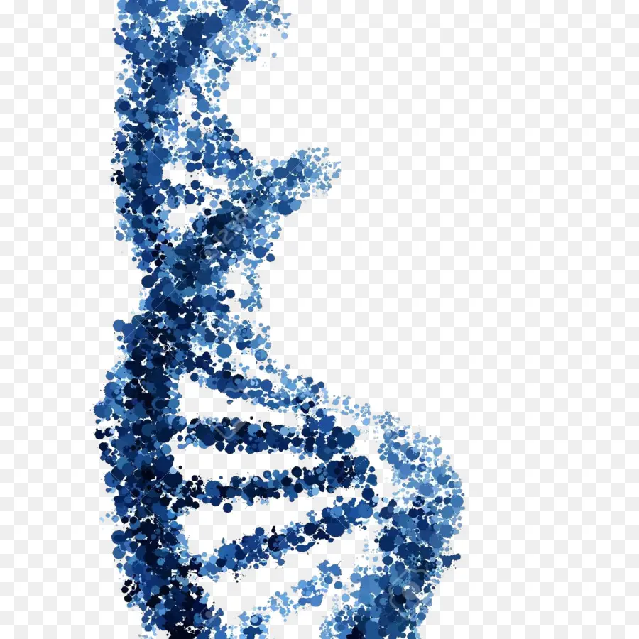 Untai Dna，Genetika PNG