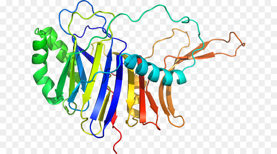 Struktur Protein Berwarna Warni，Protein PNG