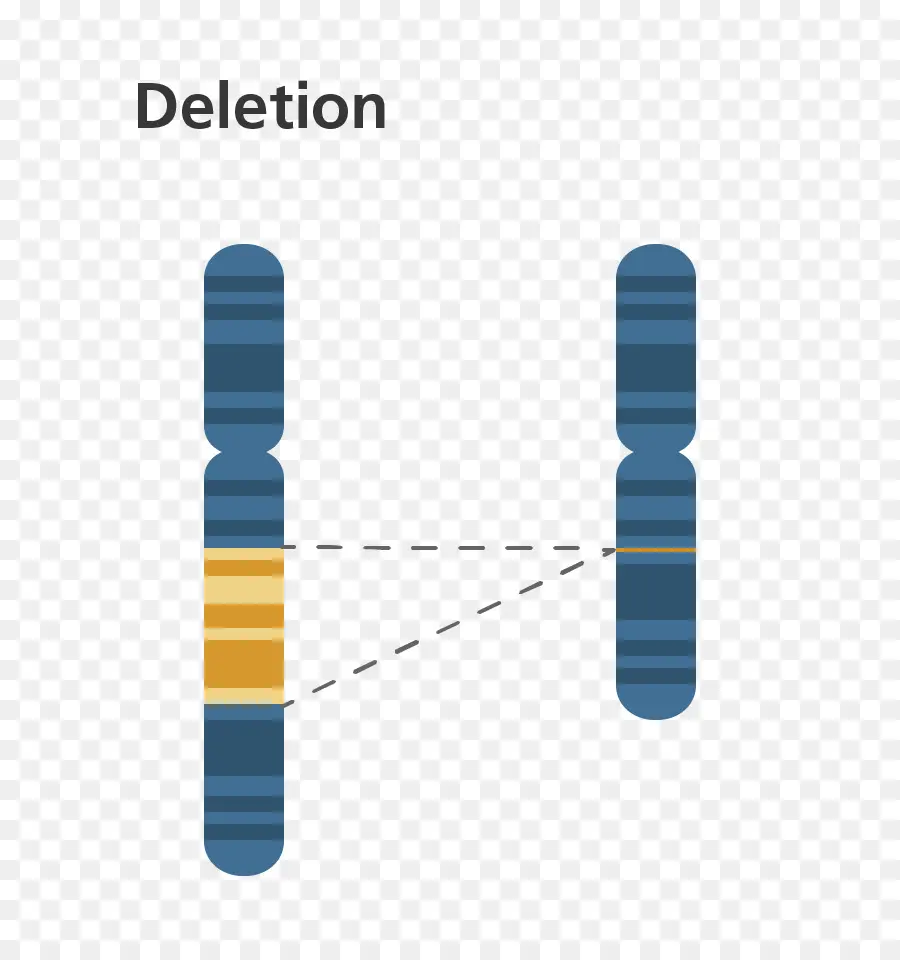 Kromosom，Penghapusan PNG