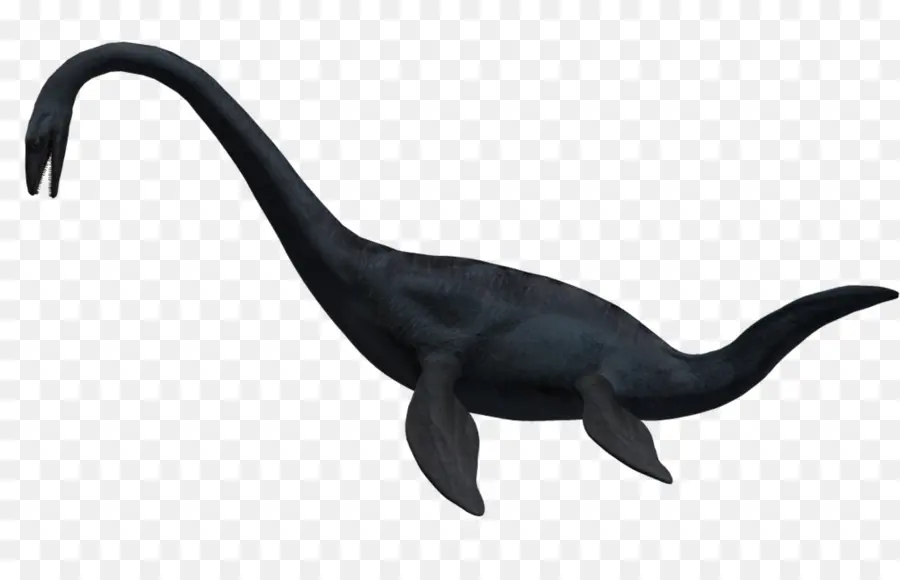 Plesiosaurus，Laut PNG