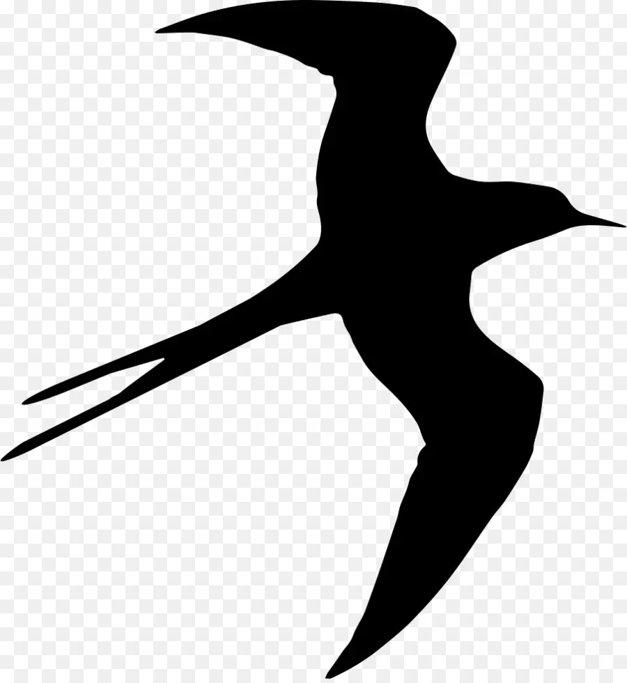 Burung，Menelan PNG