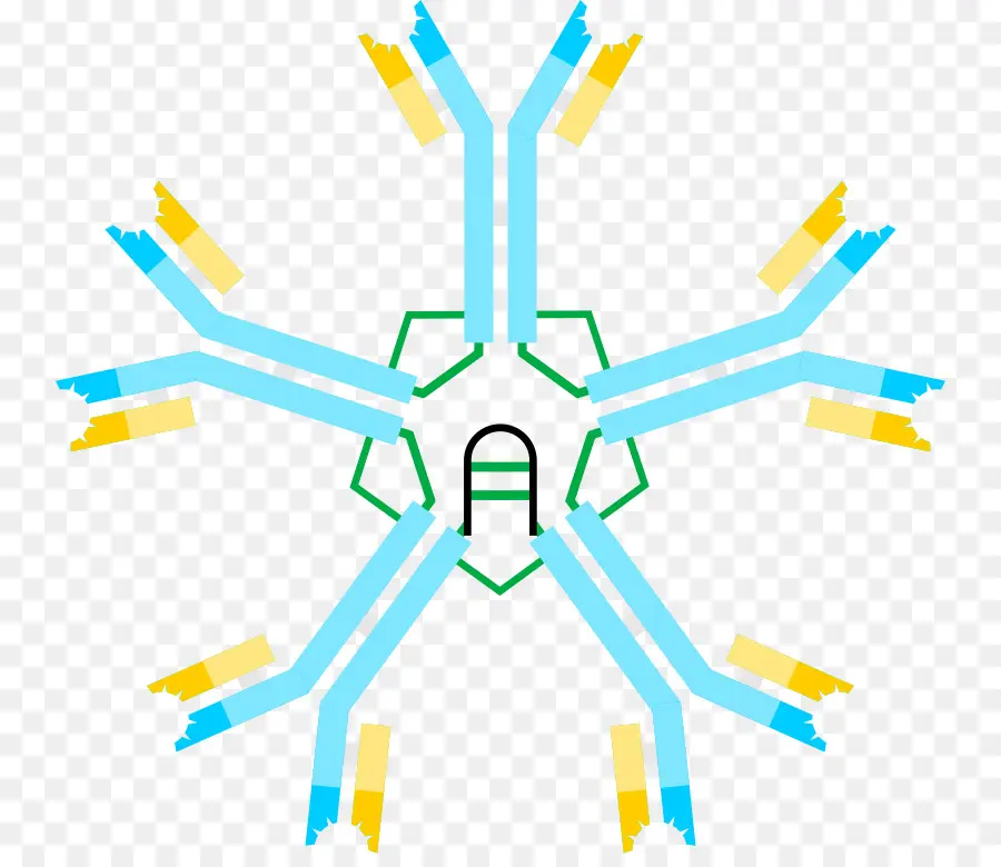 Antibodi，Sains PNG