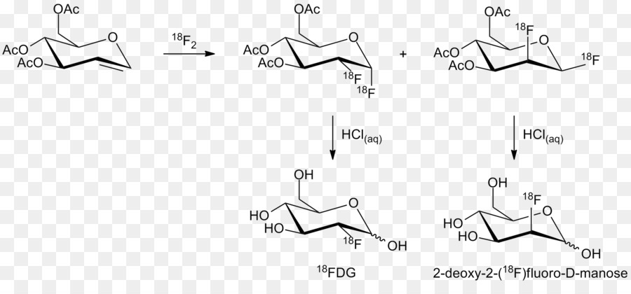 Fludeoxyglucose，Sintesis Kimia PNG