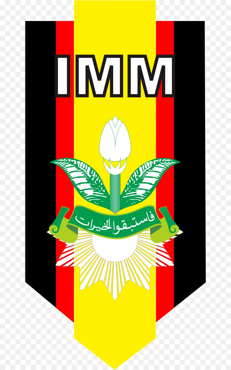 Muhammadiyah，Organization PNG