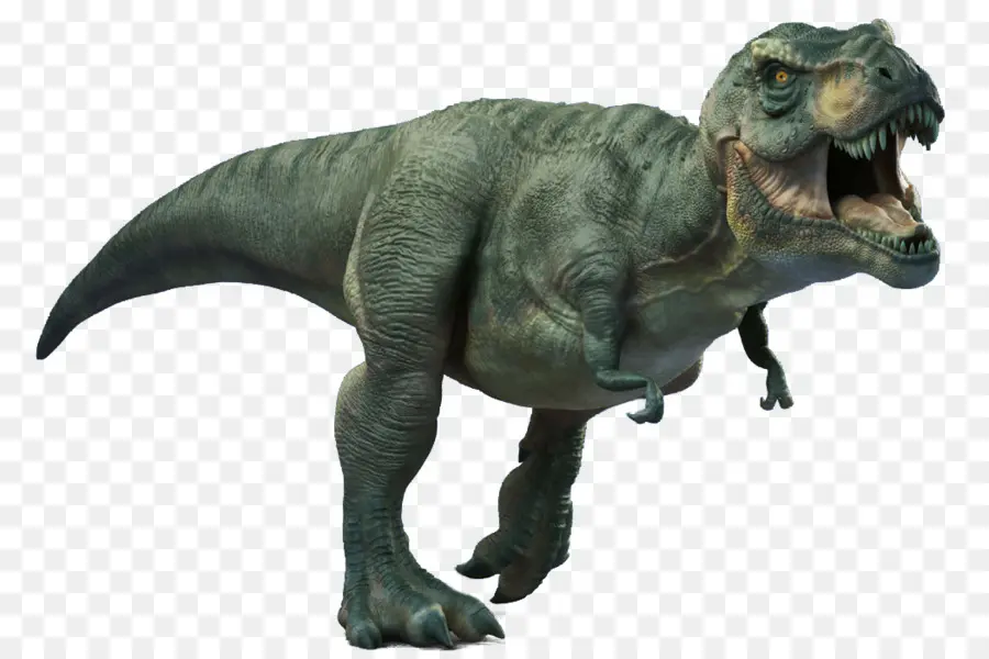 T Rex，Gigi PNG