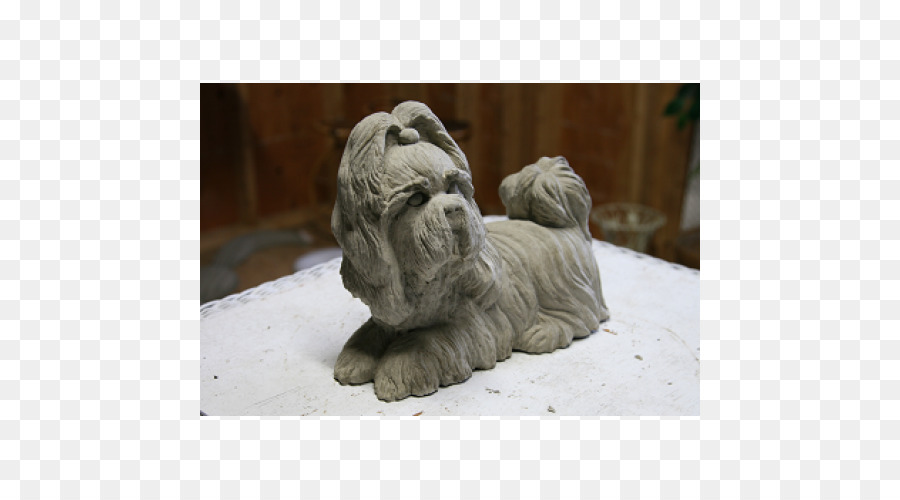 Shih Tzu，Lhasa Apso PNG