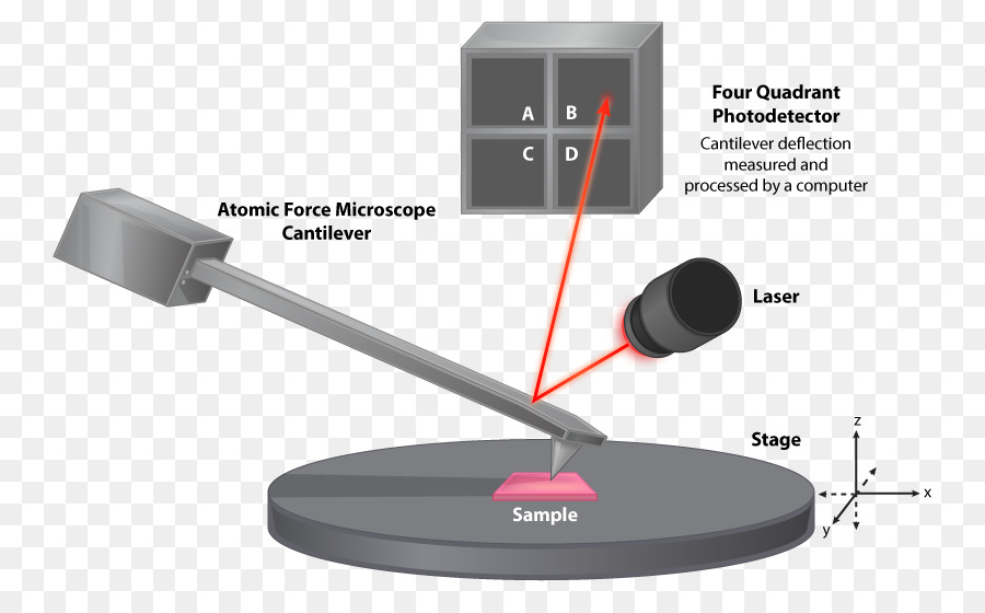 Mikroskop Gaya Atom Mikroskop Pemindaian Mikroskop Elektron Gambar Png
