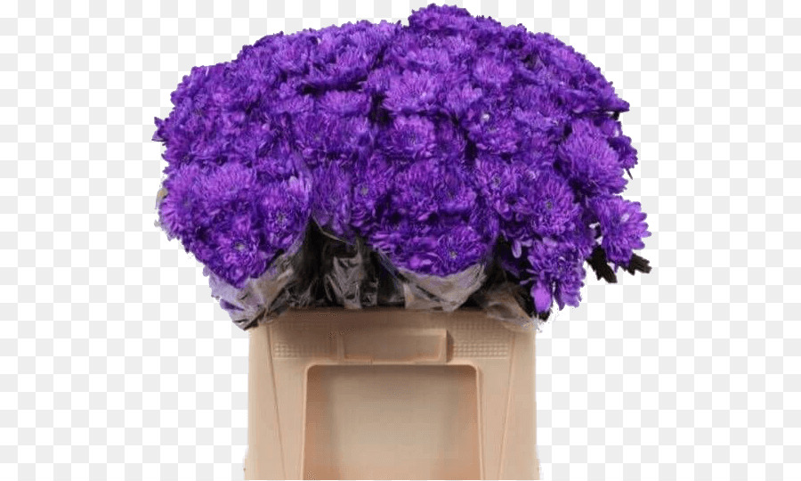 Lavender，Bunga PNG