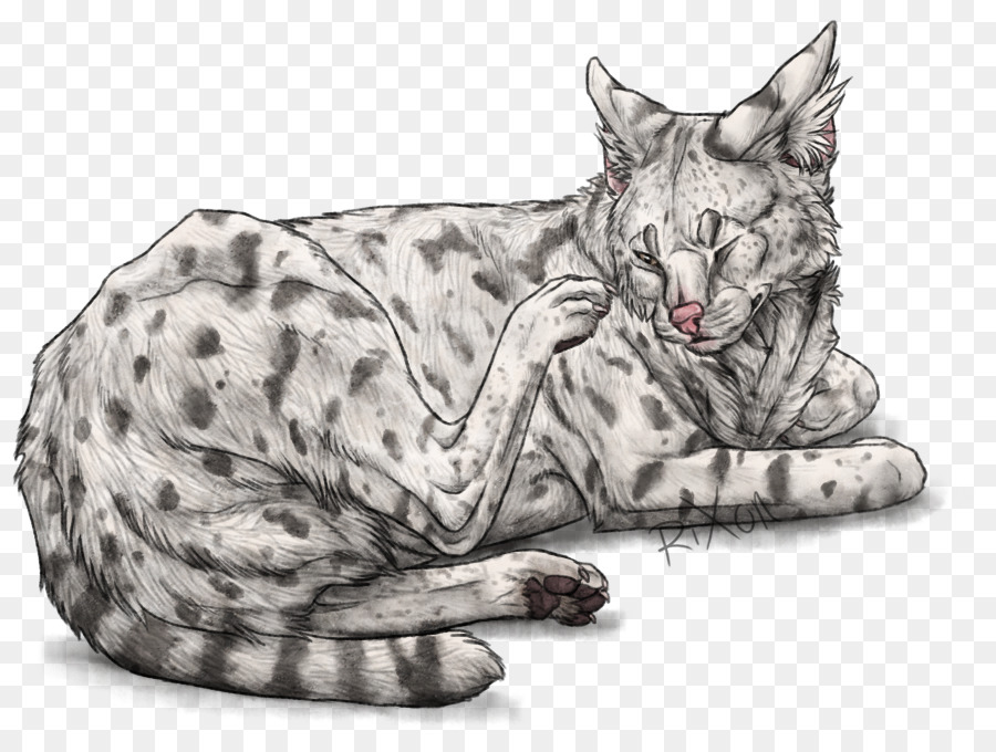 California Spangled，Ocicat PNG