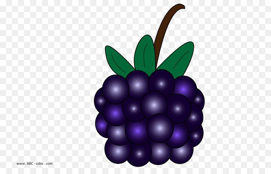 Blackberry，Buah Beri PNG