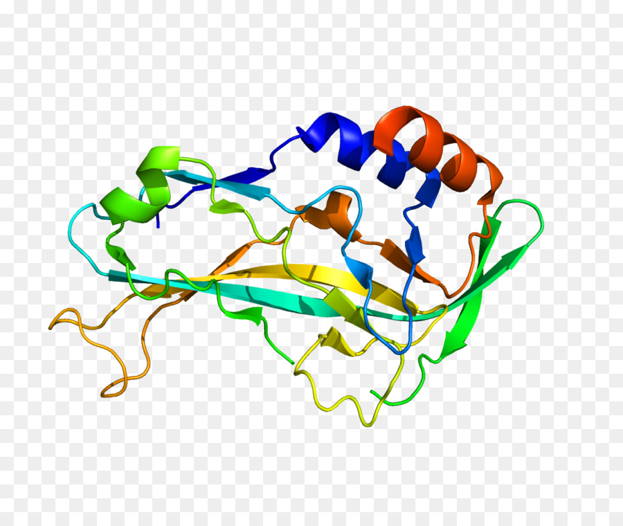 Struktur Protein，Molekul PNG