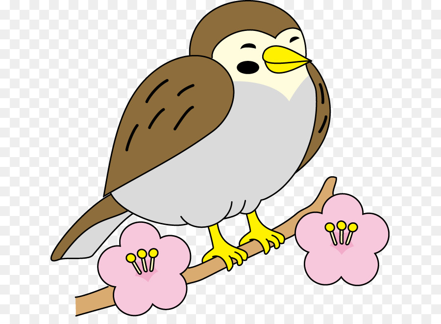 Sparrow，House Sparrow PNG