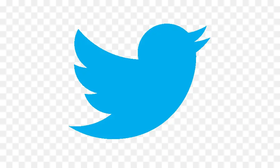 Logo Twitter，Media Sosial PNG