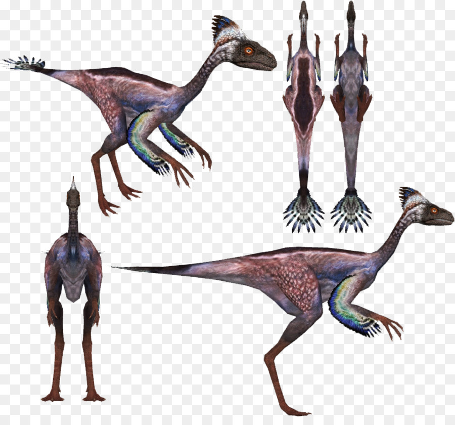 Dinosaurus，Prasejarah PNG