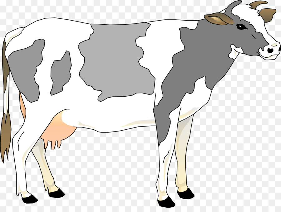 Holstein Friesian Ternak，Sapi Perah PNG
