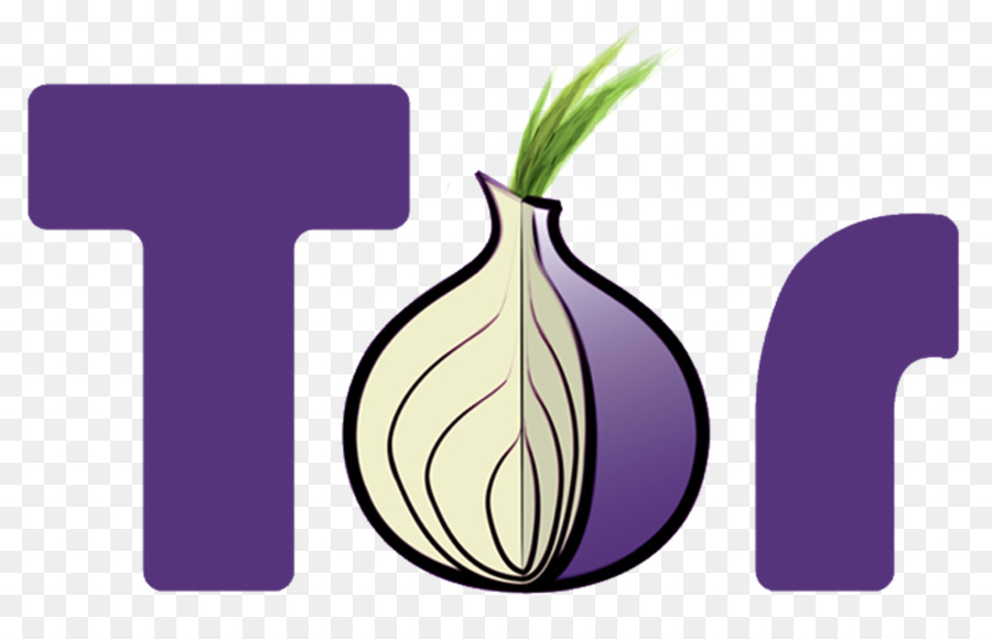 Logo Tor，Bawang Bombai PNG