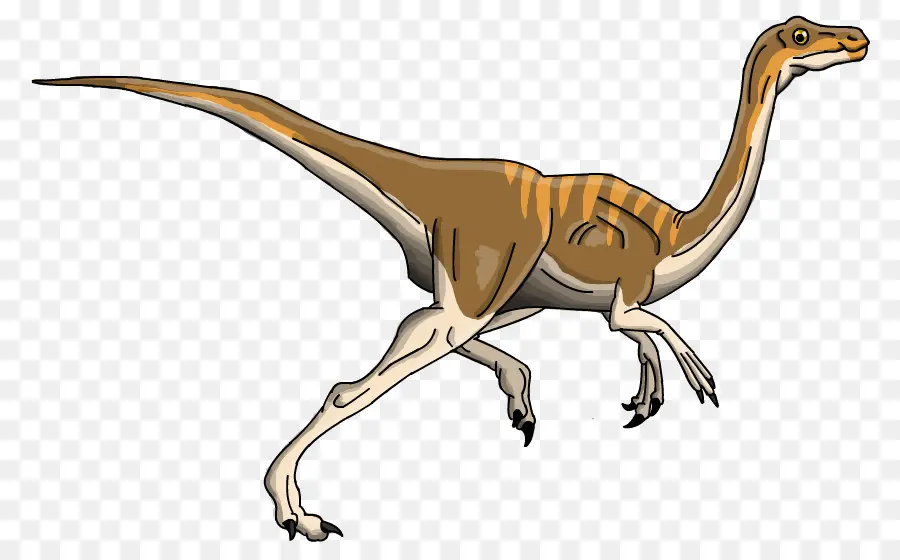 Gambar Dinosaurus，T Rex PNG