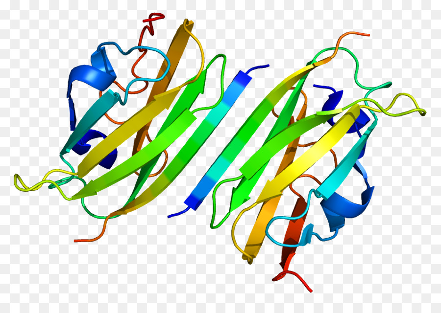 Integrin，Integrin Alpha 4 PNG