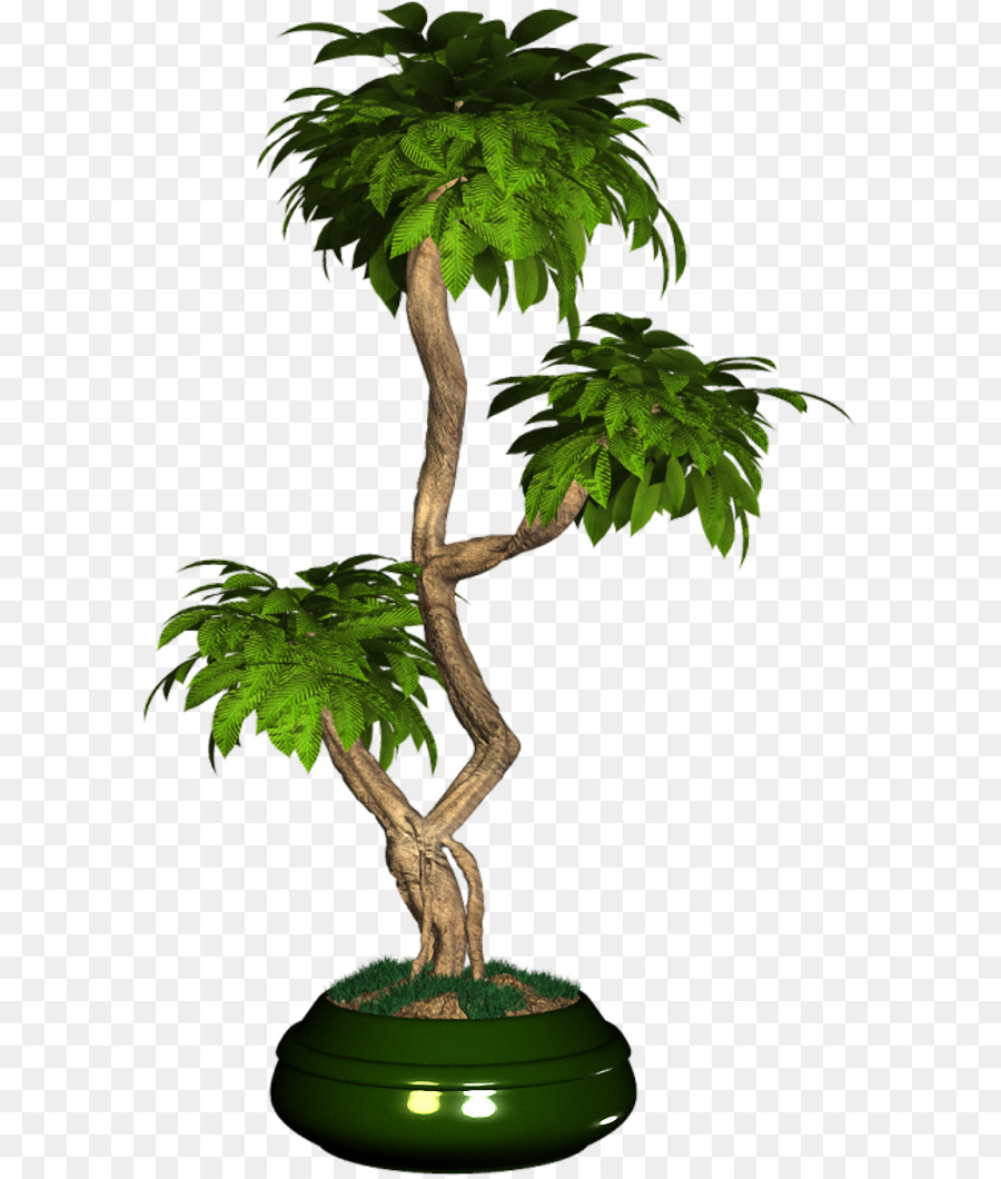 Pohon Bonsai，Pot PNG