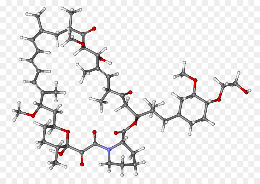 Everolimus，Sirolimus PNG