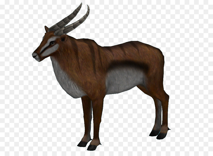 Gemsbok，Gazelle PNG