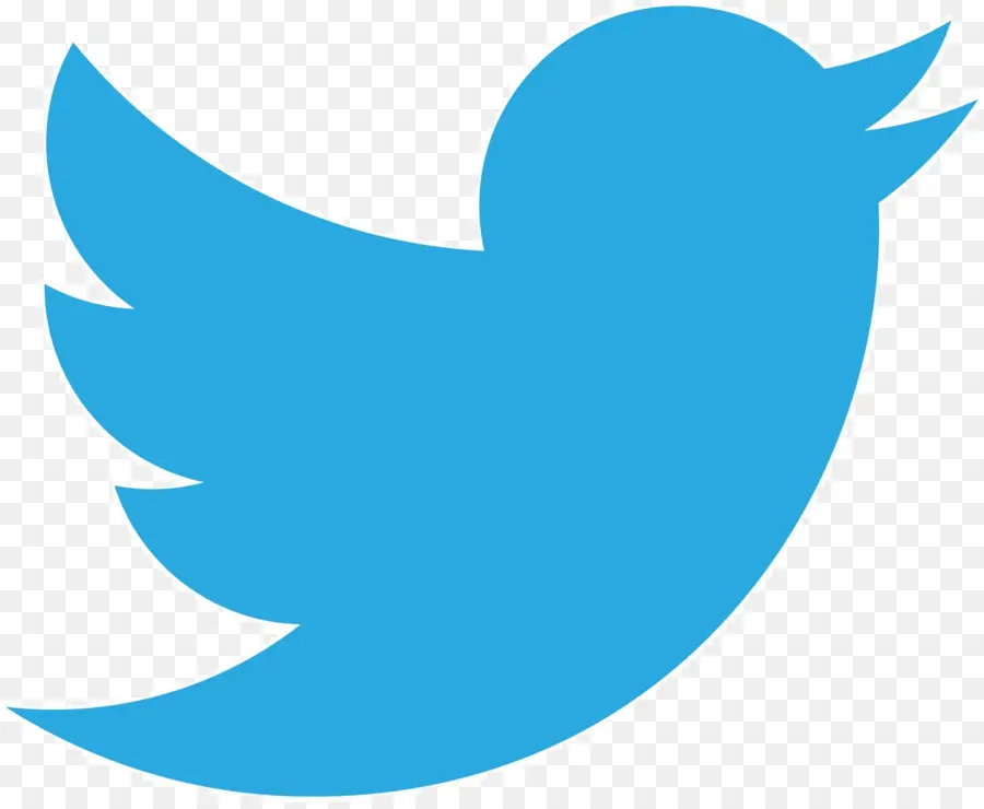 Logo Twitter，Media Sosial PNG