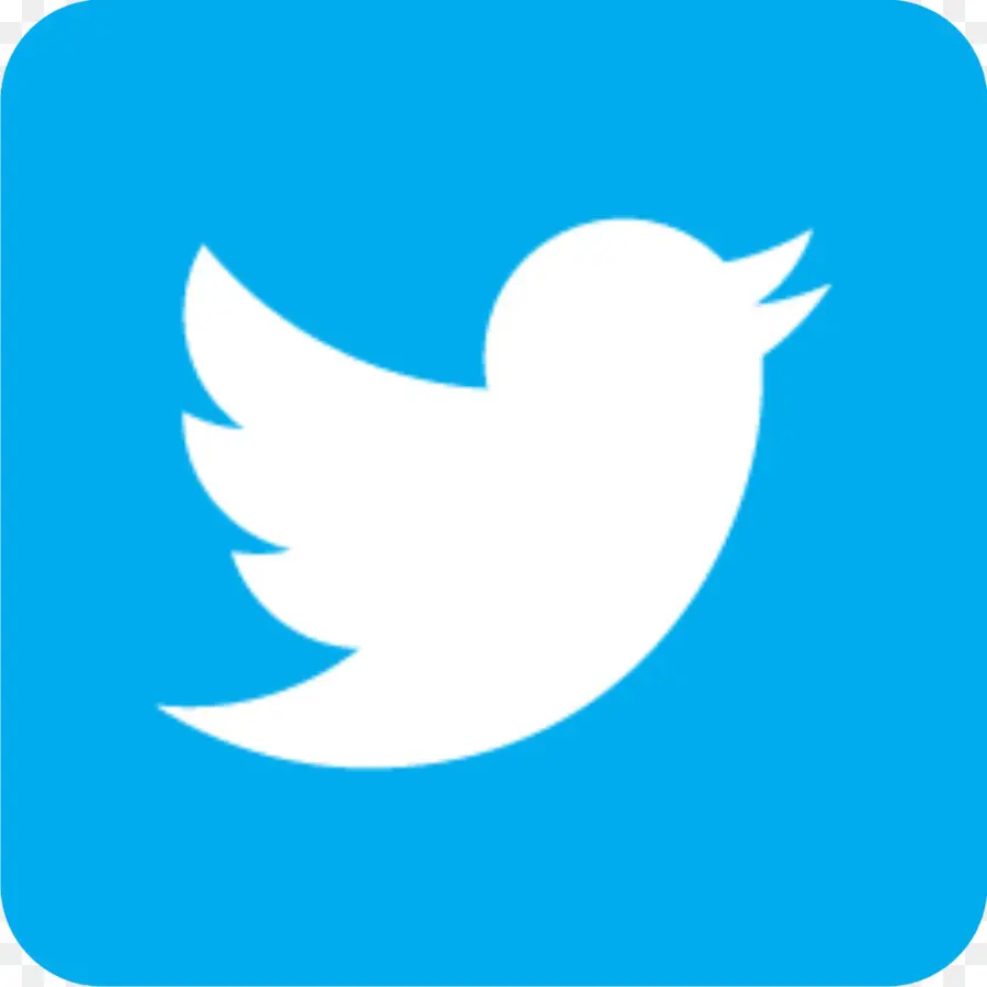 Logo Twitter，Media Sosial PNG