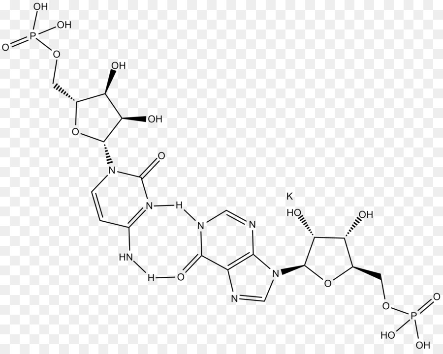 Polyinosinicpolycytidylic Asam，Tolllike Reseptor PNG