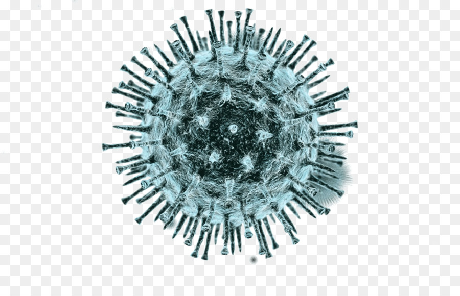 Virus, Vektor Virus, Organisme gambar png