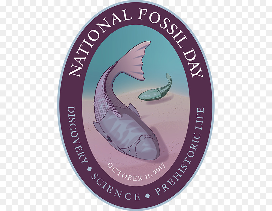 Nasional Fosil Hari，Fosil PNG