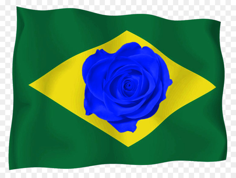 Bendera Brasil，Brazil PNG