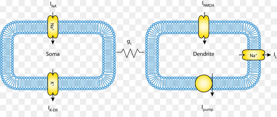 Garis，Teknologi PNG