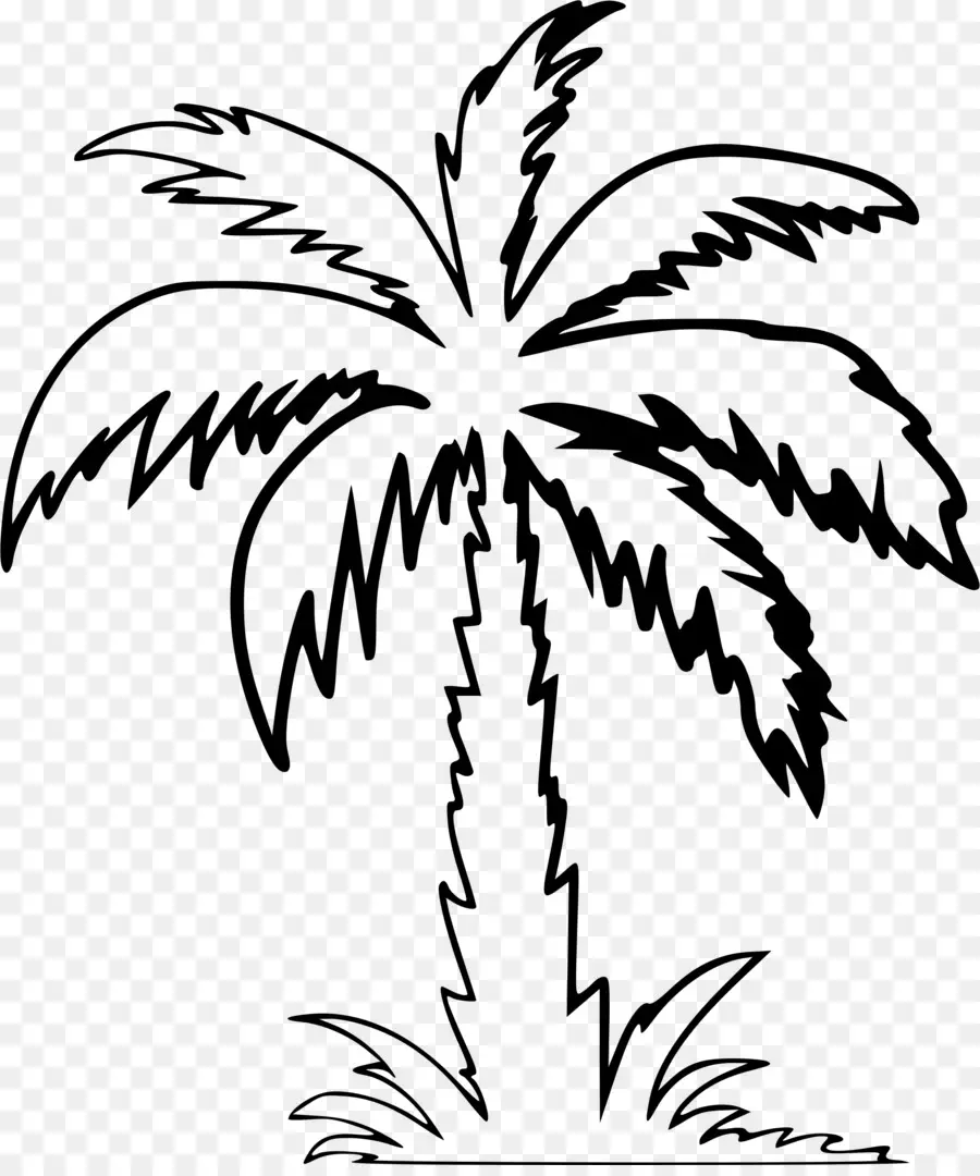 Arecaceae，Gambar PNG