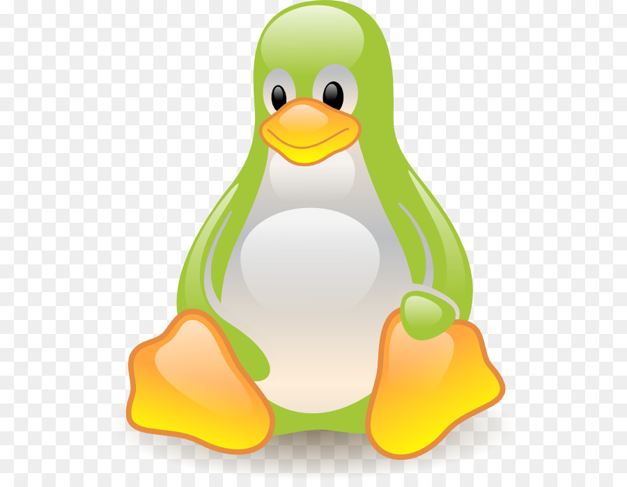 Penguin，Burung PNG