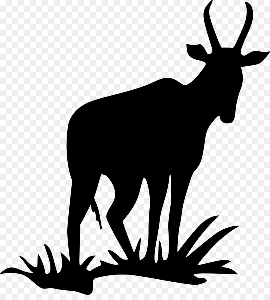 Kijang，Pronghorn PNG