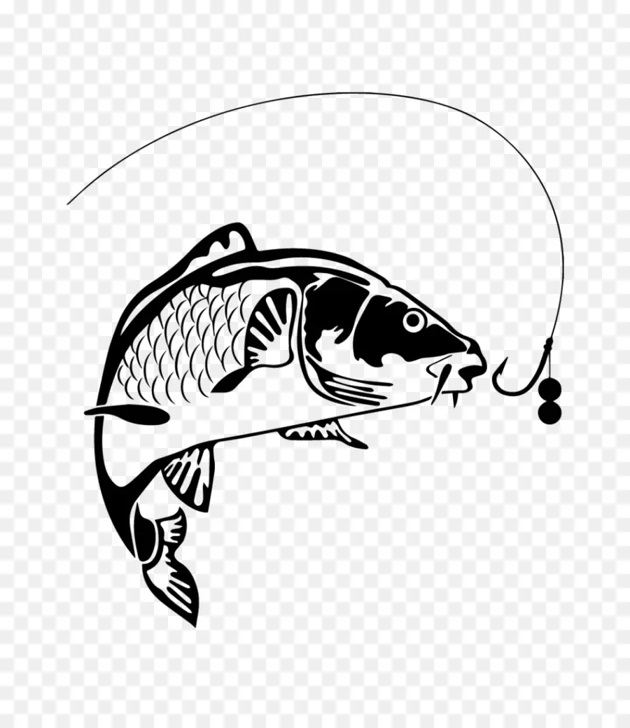 Ikan Mas，Memancing Ikan Mas PNG