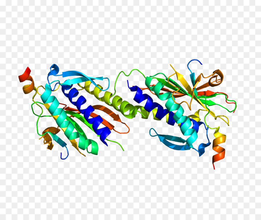 Struktur Protein，Molekul PNG