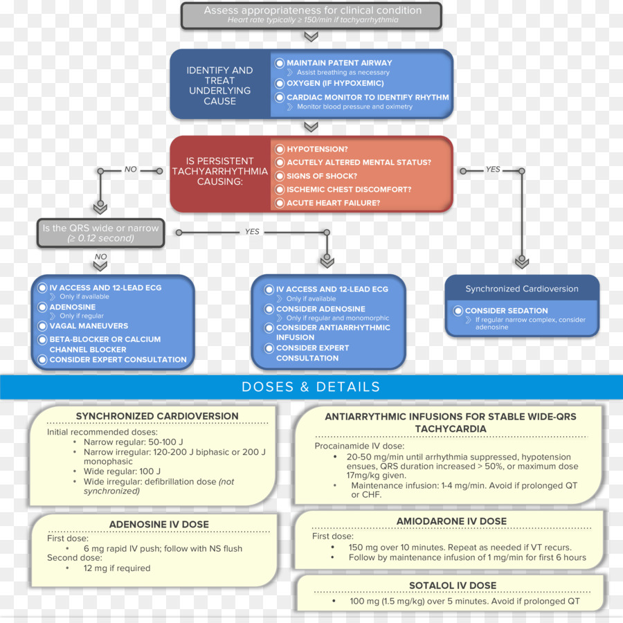 Flow Chart，Medis PNG