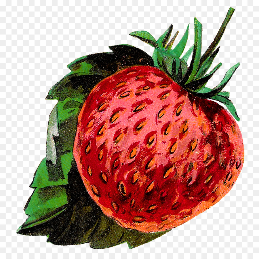  Stroberi  Aksesori Buah  Berry gambar  png