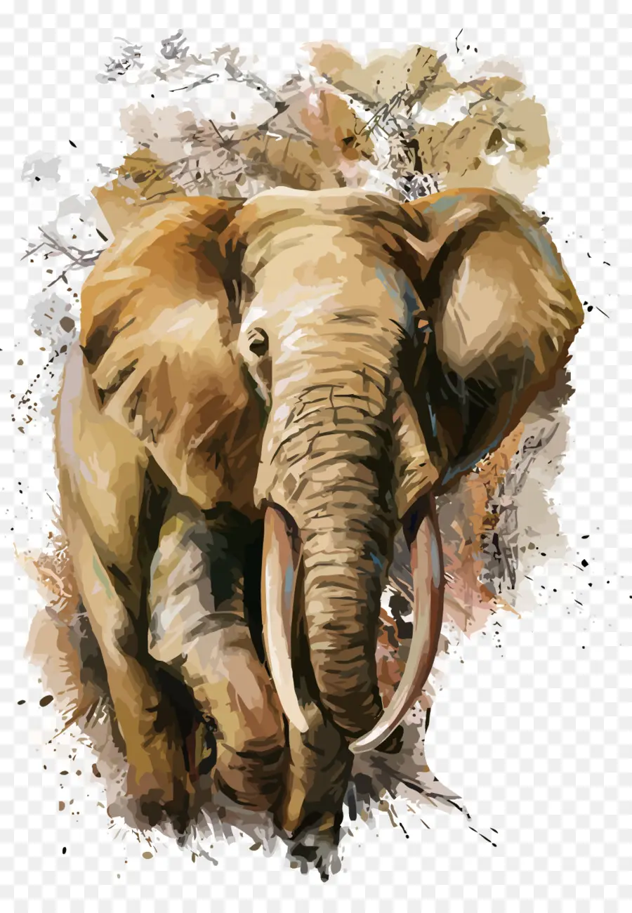 Lukisan Cat Air，Gajah PNG