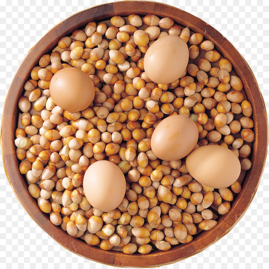 Kacang，Bahan PNG