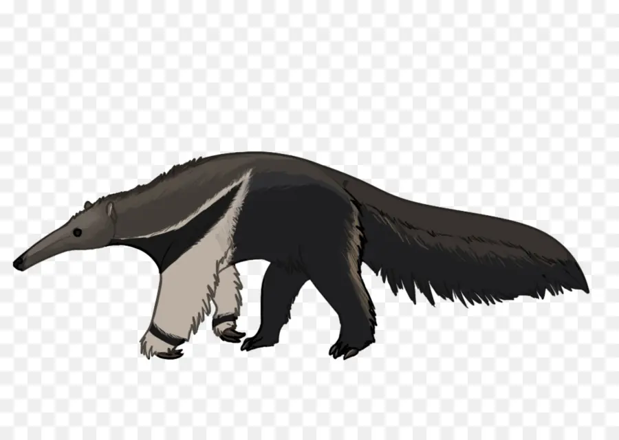 Tenggiling，Anteater Raksasa PNG