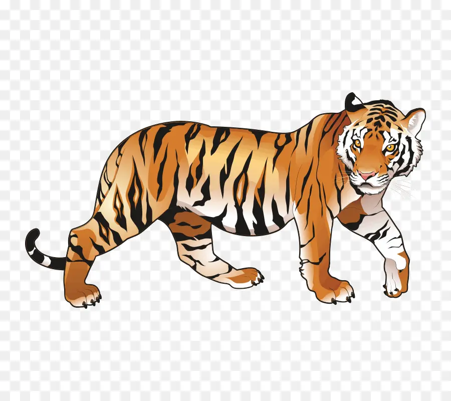 Riding The Tiger Bagaimana Melaksanakan Strategi Bisnis Di India，India PNG