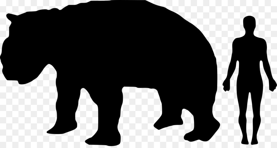 Wombat，Diprotodon PNG