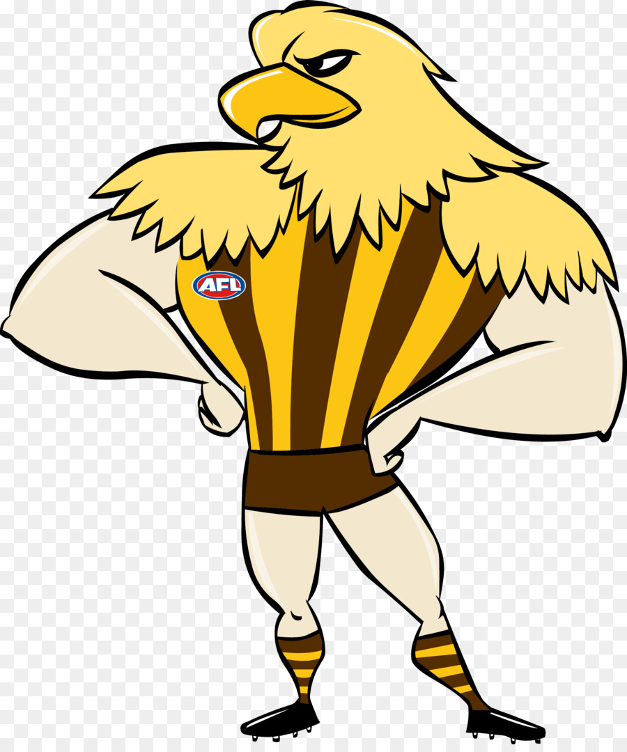 Hawthorn Football Club，Musim Afl 2017 PNG