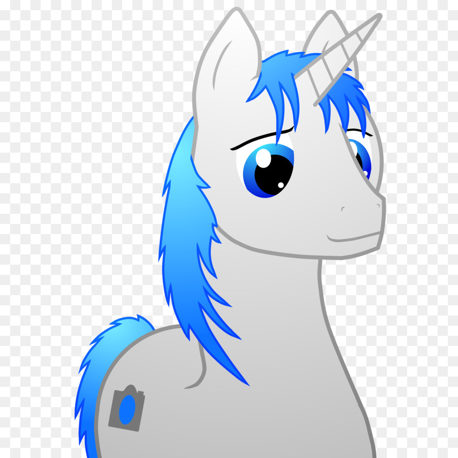 Pony，Kuda PNG